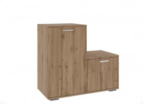 Обувницы в Губкинском