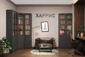 Библиотека Харрис в Губкинском - gubkinskij.mebel-tymen.ru | фото