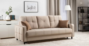 Черри Н диван-кровать арт. ТД 284 в Губкинском - gubkinskij.mebel-tymen.ru | фото