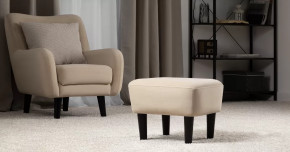 Дакота пуф арт. ТП 582 в Губкинском - gubkinskij.mebel-tymen.ru | фото