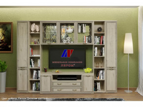 Гостиная Карина набор 25 в Губкинском - gubkinskij.mebel-tymen.ru | фото