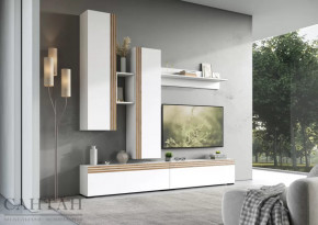 Гостиная НАО-Моно №1 в Губкинском - gubkinskij.mebel-tymen.ru | фото