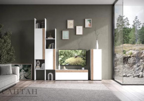 Гостиная НАО-Моно №3 в Губкинском - gubkinskij.mebel-tymen.ru | фото