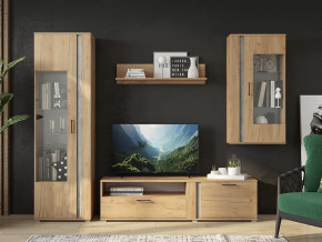 Гостиная Омега в Губкинском - gubkinskij.mebel-tymen.ru | фото