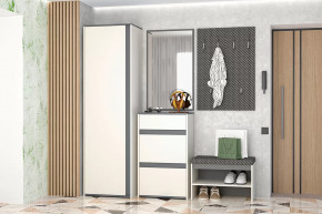 Иннэс-12  Прихожая №1 Диал в Губкинском - gubkinskij.mebel-tymen.ru | фото