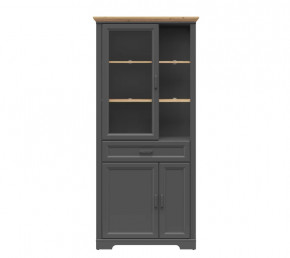 JASMIN шкаф REG1W2D1S (Графит/ Дуб артизан) в Губкинском - gubkinskij.mebel-tymen.ru | фото