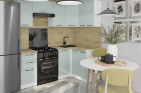 Кухонный гарнитур Лиора оптима 5 1200х2000 мм в Губкинском - gubkinskij.mebel-tymen.ru | фото