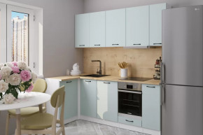 Кухонный гарнитур Лиора прайм 400 1100х2000 мм в Губкинском - gubkinskij.mebel-tymen.ru | фото