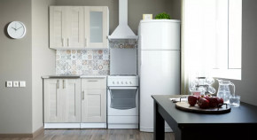 Кухонный гарнитур Лира мини 1000 мм в Губкинском - gubkinskij.mebel-tymen.ru | фото