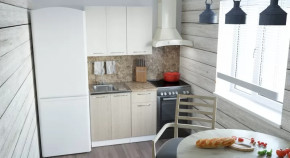 Кухонный гарнитур Ольга мини 2 1000 мм в Губкинском - gubkinskij.mebel-tymen.ru | фото