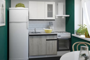 Кухонный гарнитур Паола мини 1000 мм в Губкинском - gubkinskij.mebel-tymen.ru | фото
