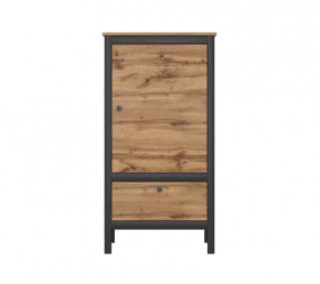 LOFT шкаф REG1D1S/60 (Дуб вотан/Черный) в Губкинском - gubkinskij.mebel-tymen.ru | фото