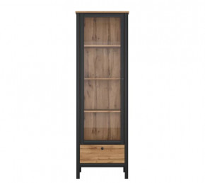 LOFT шкаф REG1W1S (Дуб вотан/Черный) в Губкинском - gubkinskij.mebel-tymen.ru | фото