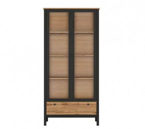 LOFT шкаф REG2W1S (Дуб вотан/Черный) в Губкинском - gubkinskij.mebel-tymen.ru | фото