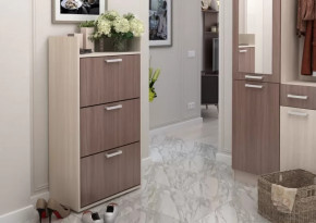 Обувница №2 Дели в Губкинском - gubkinskij.mebel-tymen.ru | фото