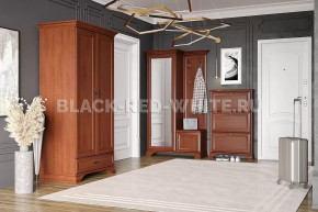 Прихожая Kentaki каштан в Губкинском - gubkinskij.mebel-tymen.ru | фото