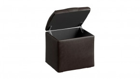 Пуф Тип 4 в Губкинском - gubkinskij.mebel-tymen.ru | фото