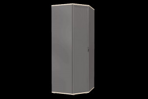 Шкаф для одежды и белья ШК-1011 Карина в Губкинском - gubkinskij.mebel-tymen.ru | фото