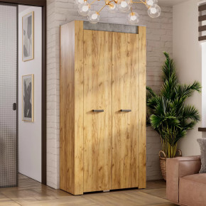 Шкаф двухстворчатый Франк ШК-45 в Губкинском - gubkinskij.mebel-tymen.ru | фото