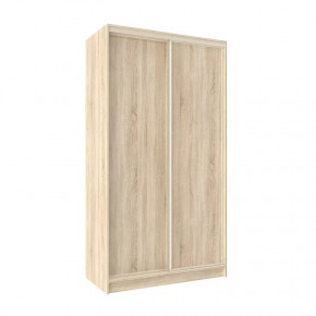 Шкаф-купе 1200 Домашний лдсп/лдсп в Губкинском - gubkinskij.mebel-tymen.ru | фото