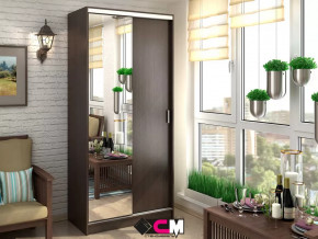 Шкаф-купе Альянс 1000 в Губкинском - gubkinskij.mebel-tymen.ru | фото