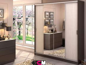 Шкаф-купе Альянс 2000 в Губкинском - gubkinskij.mebel-tymen.ru | фото