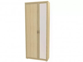 Шкаф многоцелевой ШК-1032 Карина в Губкинском - gubkinskij.mebel-tymen.ru | фото