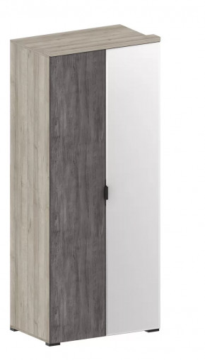 Шкаф Шаде ШК-2903 в Губкинском - gubkinskij.mebel-tymen.ru | фото