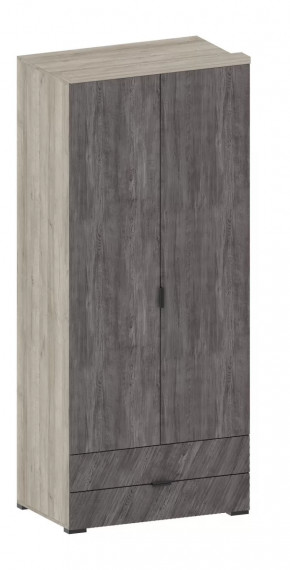 Шкаф Шаде ШК-2905 в Губкинском - gubkinskij.mebel-tymen.ru | фото