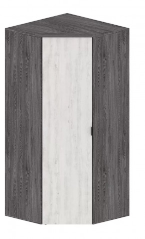 Шкаф Шаде ШК-2910 в Губкинском - gubkinskij.mebel-tymen.ru | фото