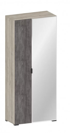 Шкаф Шаде ШК-3438 в Губкинском - gubkinskij.mebel-tymen.ru | фото