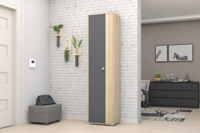 Шкаф ШК-01 Монако в Губкинском - gubkinskij.mebel-tymen.ru | фото