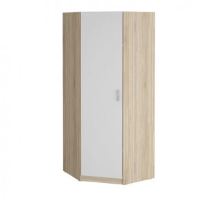 Шкаф угловой "Салоу" 900 в Губкинском - gubkinskij.mebel-tymen.ru | фото