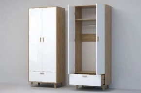 Шкаф Эго Шк-1, 800мм, 2 двери, 1 ящик в Губкинском - gubkinskij.mebel-tymen.ru | фото