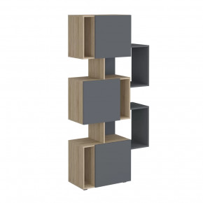 Стеллаж Дублин в Губкинском - gubkinskij.mebel-tymen.ru | фото