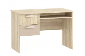 Стол для компьютера НМ 009.19-05 М2 Акварель в Губкинском - gubkinskij.mebel-tymen.ru | фото