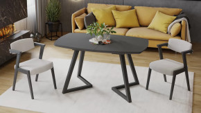 Стол обеденный «TESCA 2» Графит, Стекло графит матовое в Губкинском - gubkinskij.mebel-tymen.ru | фото