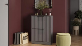 Тумба для обуви «Хилтон» Исп.2 Серый графит, Графит матовый в Губкинском - gubkinskij.mebel-tymen.ru | фото