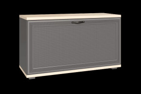 Тумба для обуви ТБ-1041 Карина в Губкинском - gubkinskij.mebel-tymen.ru | фото