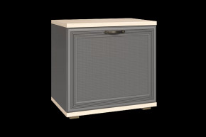 Тумба для обуви ТБ-1042 Карина в Губкинском - gubkinskij.mebel-tymen.ru | фото