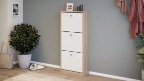 Тумба для обуви «Тетра» Тип 1 Исп. 2 в Губкинском - gubkinskij.mebel-tymen.ru | фото