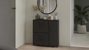 Тумба для обуви Тип 15 Антрацит в Губкинском - gubkinskij.mebel-tymen.ru | фото