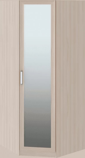 Волкер подростковая М01 Шкаф угловой в Губкинском - gubkinskij.mebel-tymen.ru | фото